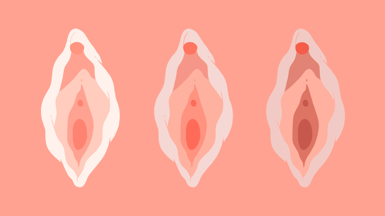 Free porn gp s